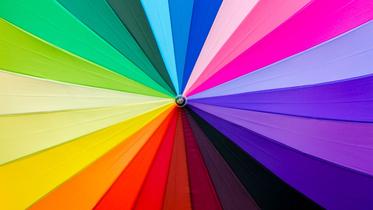 Radial fan of colour swatches arranged like a wheel, showing a full spectrum from greens and yellows through oranges, reds, pinks, blues, and purples, used to illustrate seasonal colour palettes and colour theory.