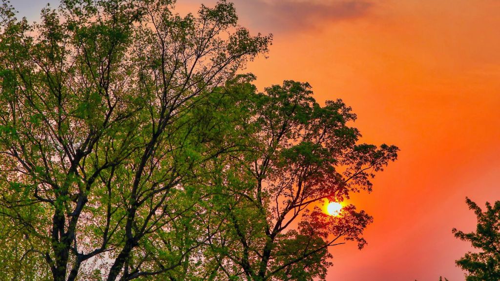 Spring Equinox in Art: Light, Balance, and New&nbsp;Beginnings
